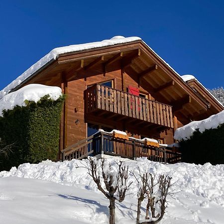 Chalets Du Danay Lachat Saint-Jean-de-Sixt Dış mekan fotoğraf